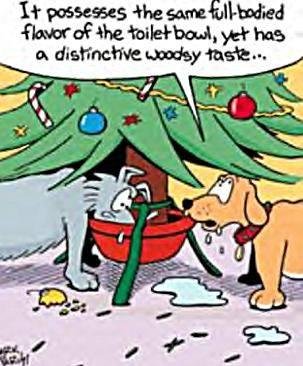 Jacki Russell's album, Timeline Photos