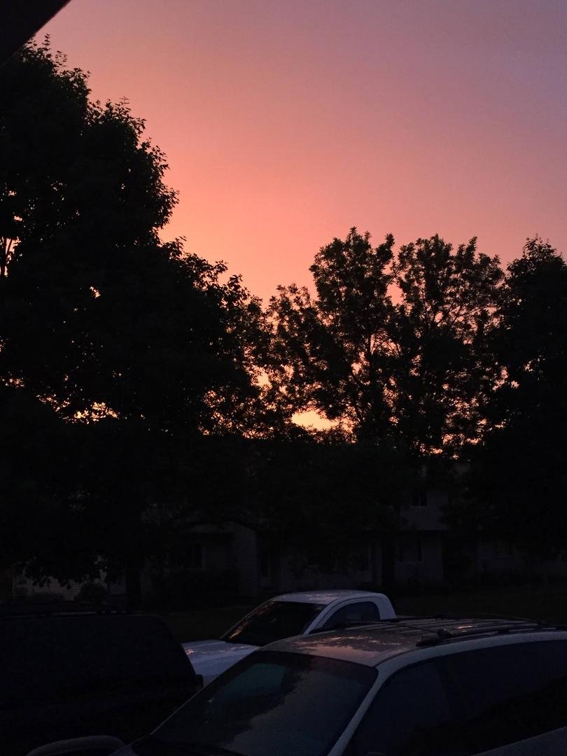 Darin Gustafson's album, Mobile Uploads