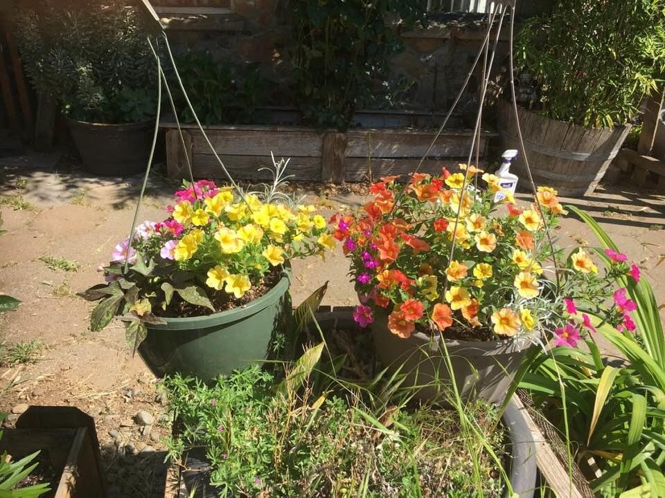 Susan Moses' album, Timeline Photos