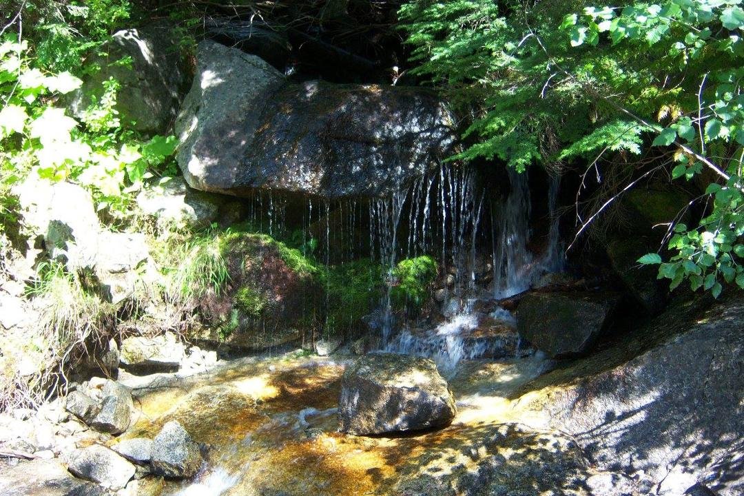 Linda Angel Sneed's album, Lion Head Trail,Coolin ,Idaho