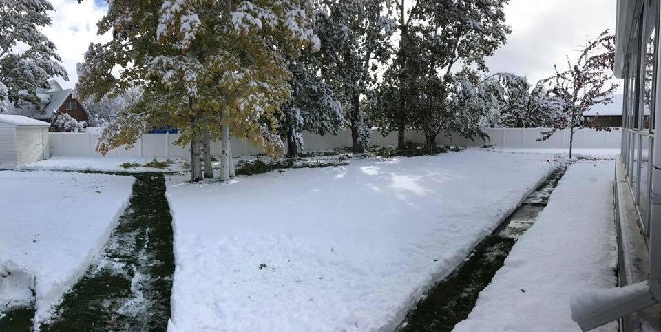 Pano view of our back yard this morning. I was planning to mow, had to plow for the dogs instead.