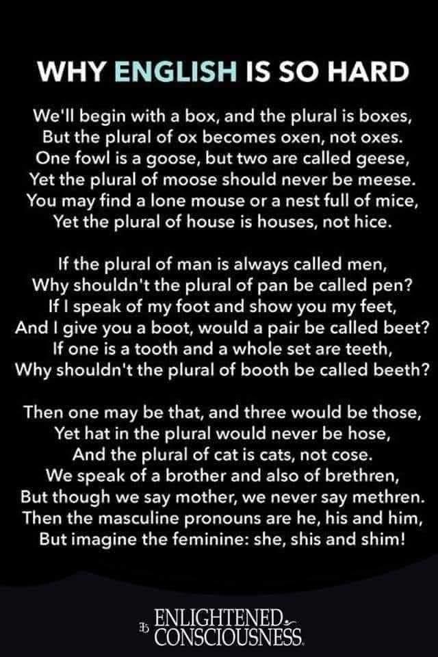 Simi Lipsman's album, Timeline photos