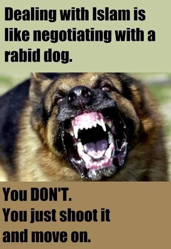 Randy Jensen's album, Timeline Photos