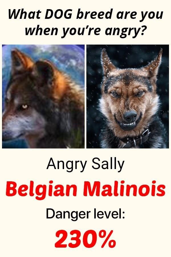 Sally Gann's album, Mobile Uploads