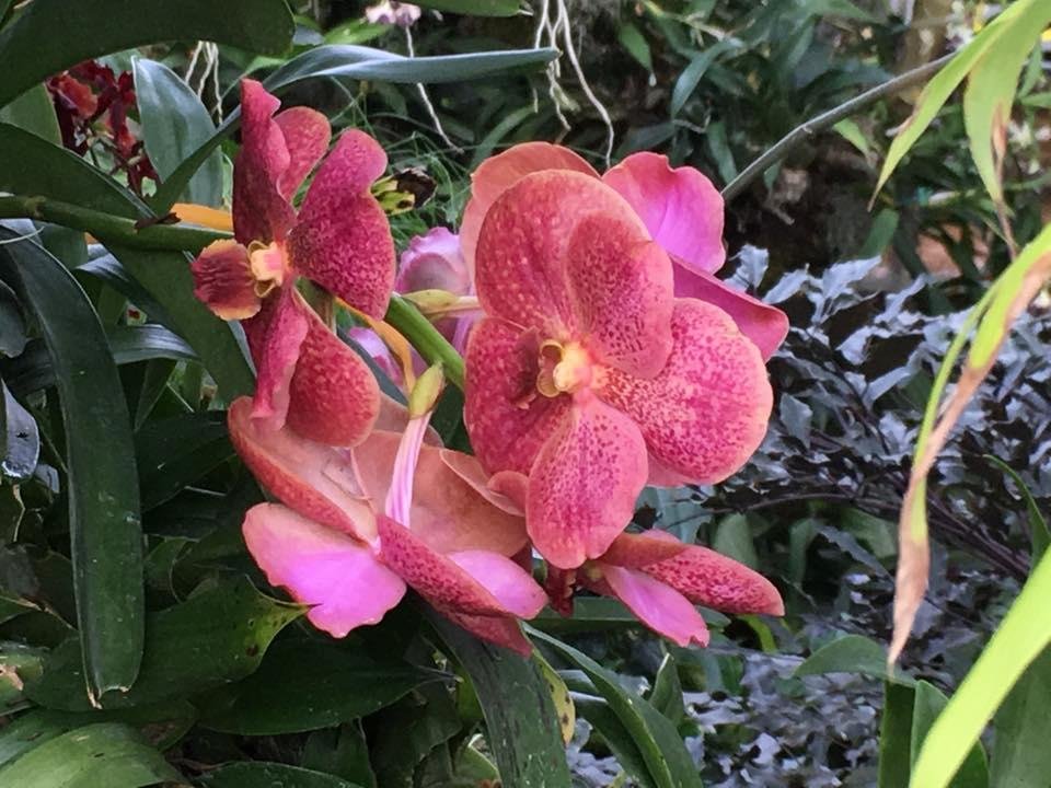 Phillip Rowe's album, Mobile Uploads