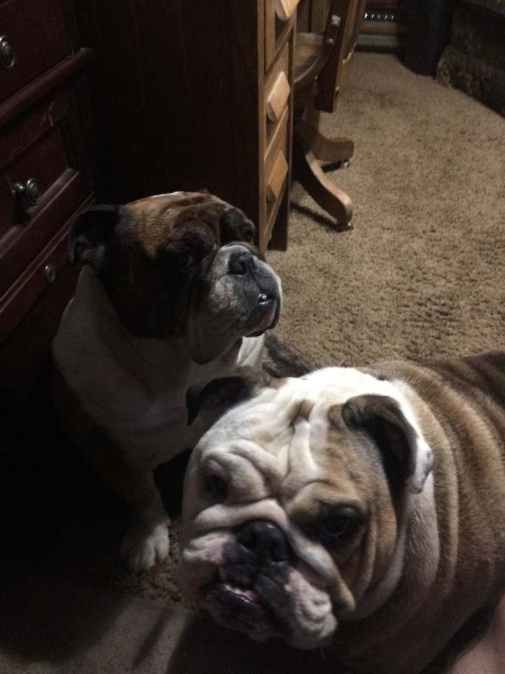 Robert (Bob) Dunlap's album, Mobile Uploads