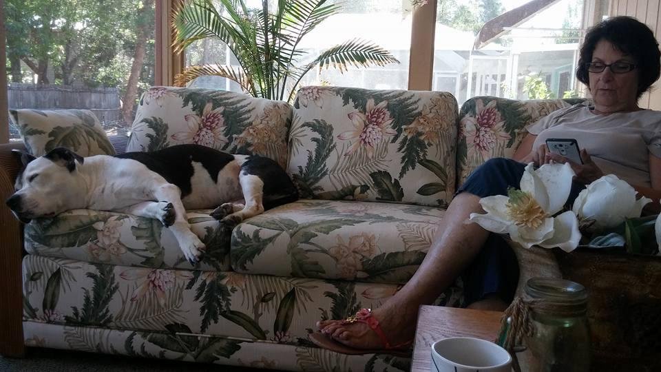 What a life....