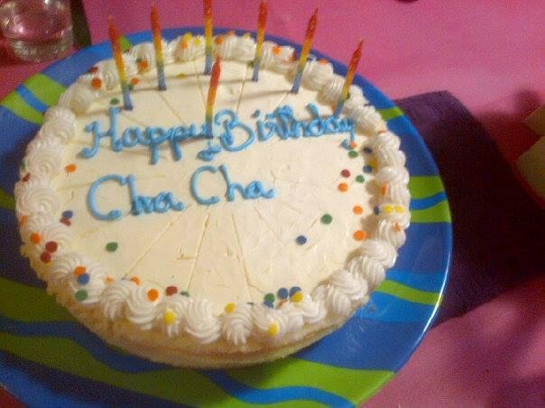 Happy Birthday to the handsomest and most charming cat I know! Cha Cha is likely replacement for Stephen Colbert.