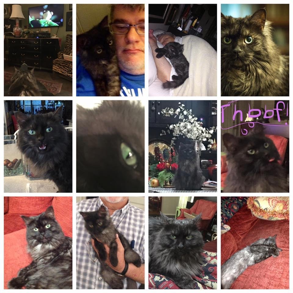 John Cutright's album, Mobile Uploads