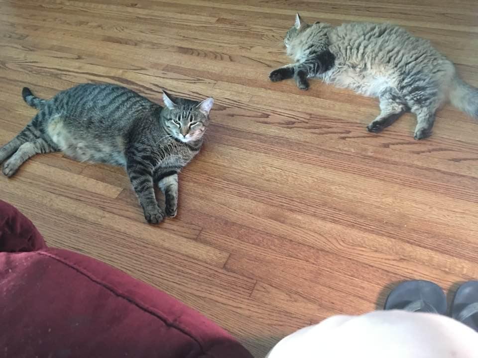 My two girls ! ❤️