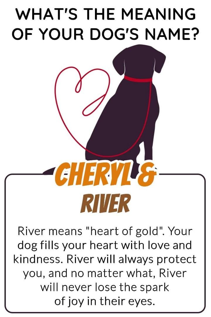 Cheryl Mentzer's album, Timeline Photos