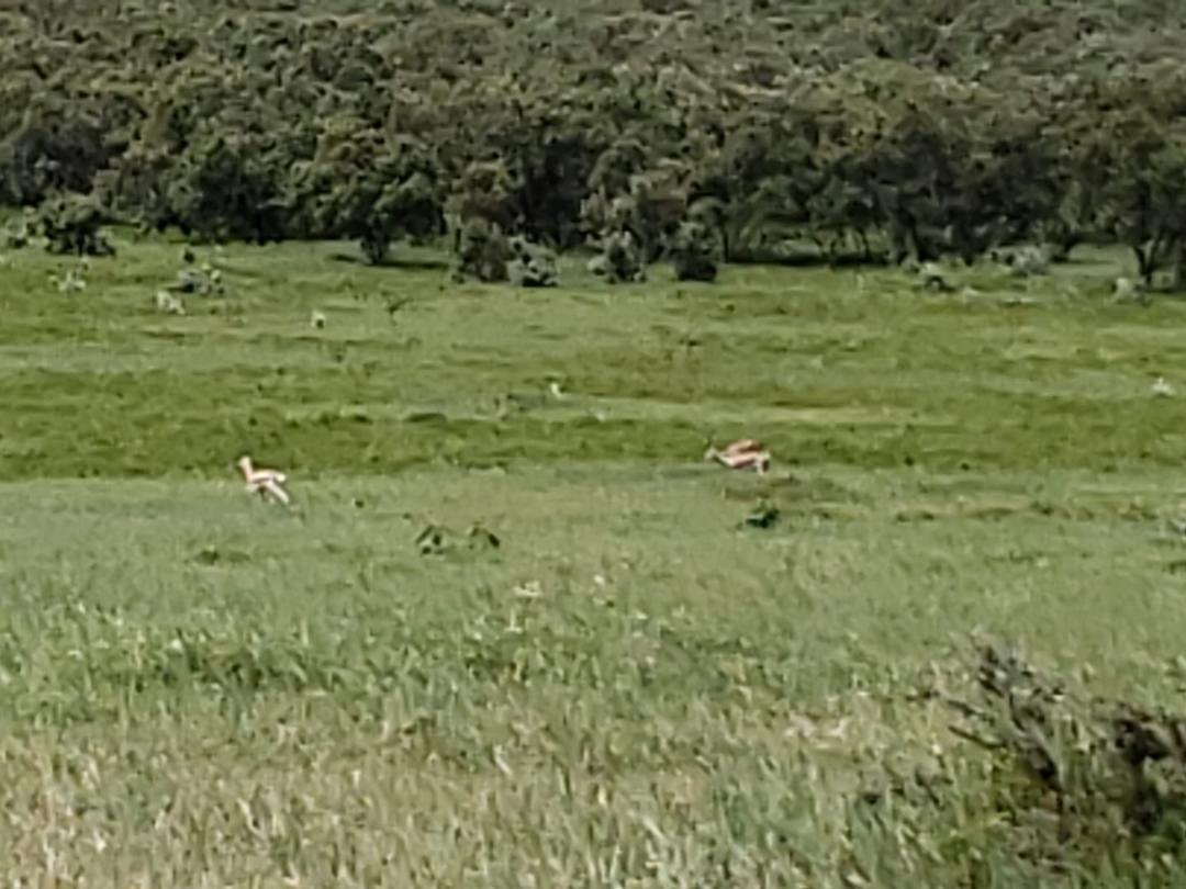 Kenya, Africa