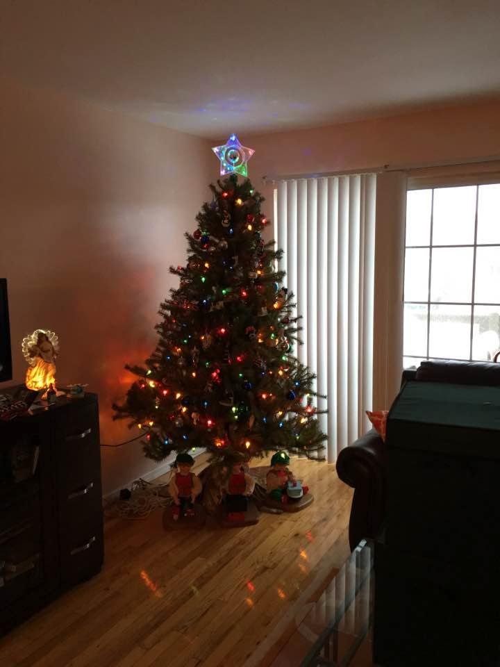 I put moveable elves under the tree, Shamrocks and Neddie didn't go near the tree