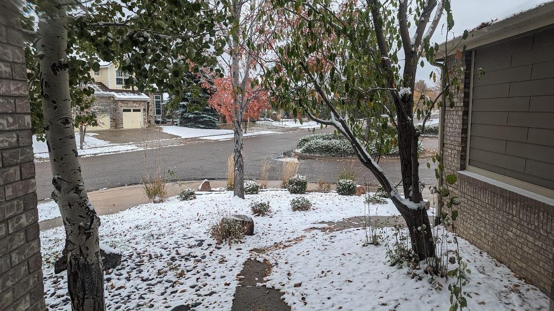 First snow of the season!