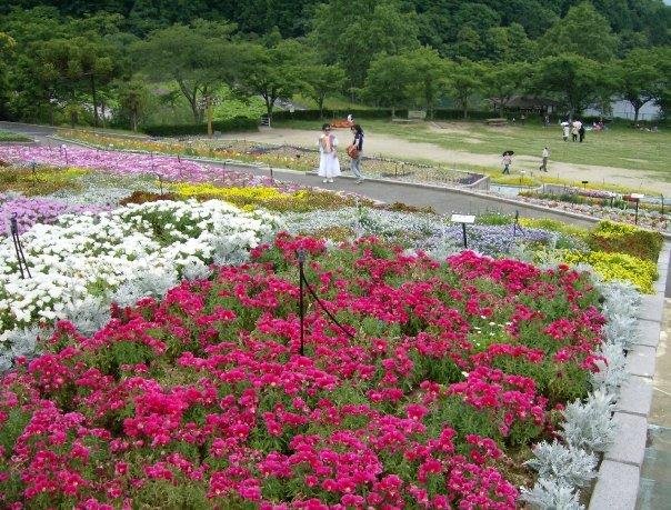 Robert Coats' album, Coats Family in Japan (2007-2008)