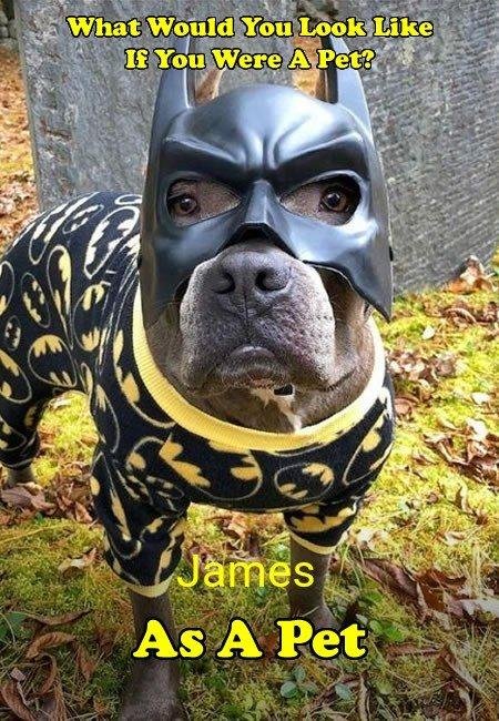 James Simpson's album, Timeline photos