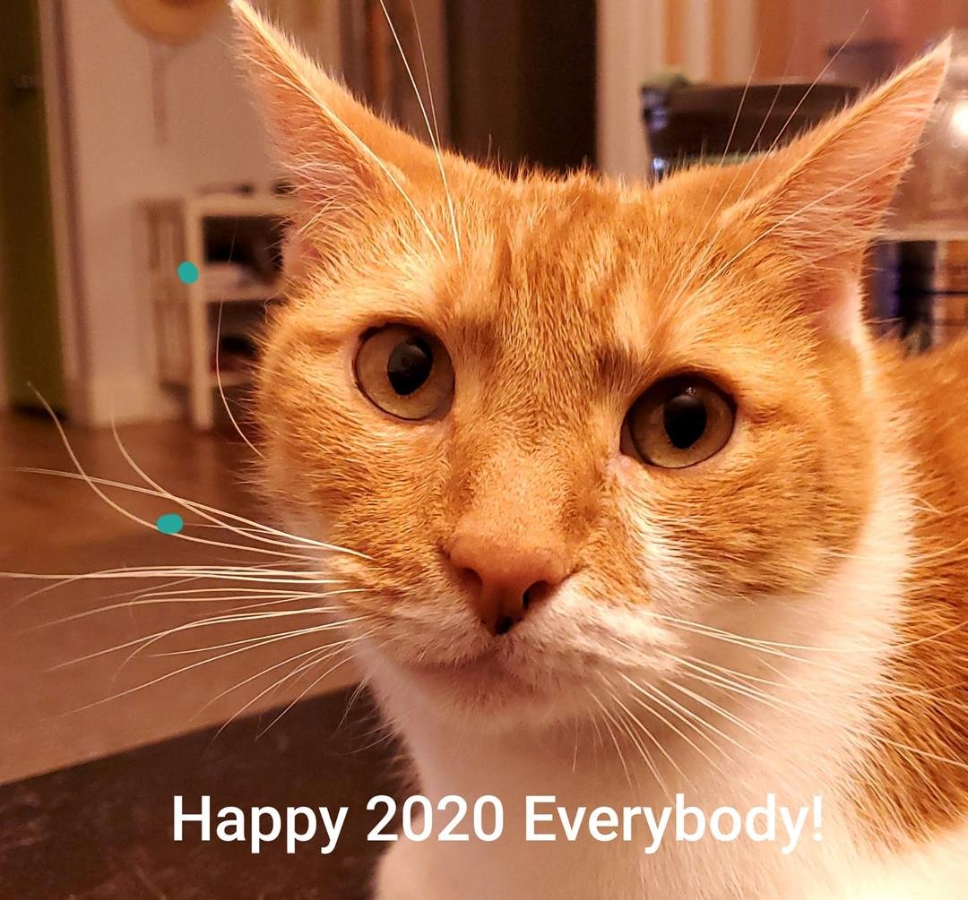Richie has seen some of the reviews of "Cats" and wants to assure everyone that his fur achieves its thickness and texture naturally without any CGI.