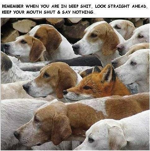 Greg Felt's album, Timeline Photos