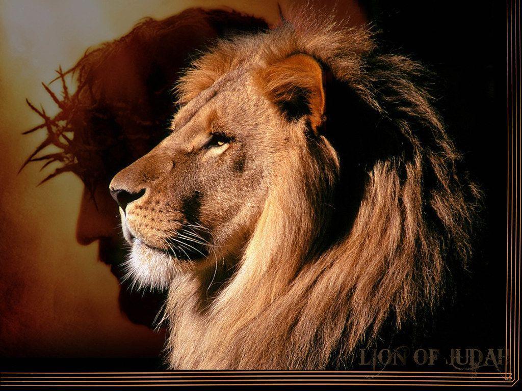 "Do not weep! See, the Lion of the tribe of Judah, the Root of David, has triumphed." (Rev. 5:5)
