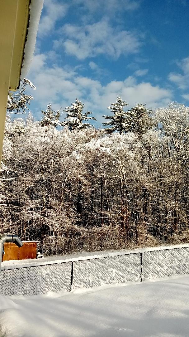 John McCaugherty's album, Mobile uploads