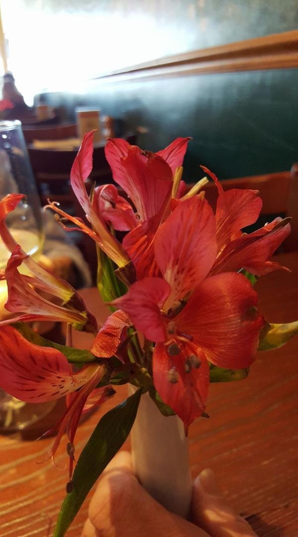 What is the name of this?