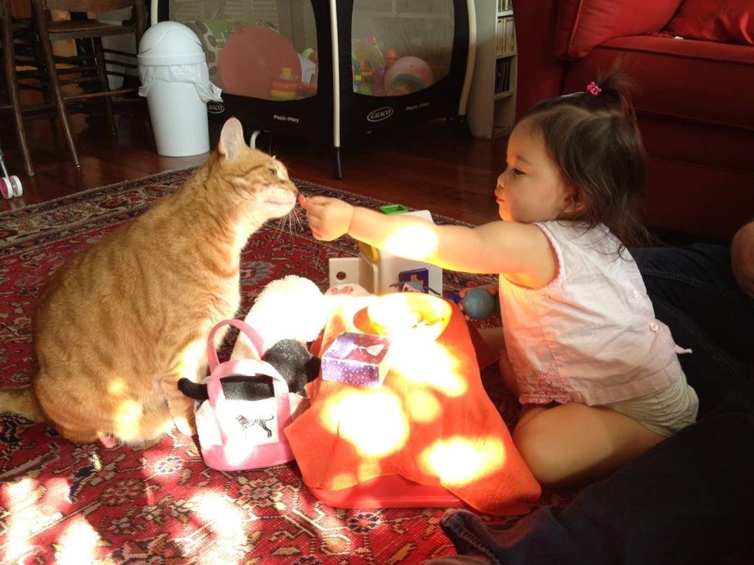 Zev Greenfield's album, iOS Photos