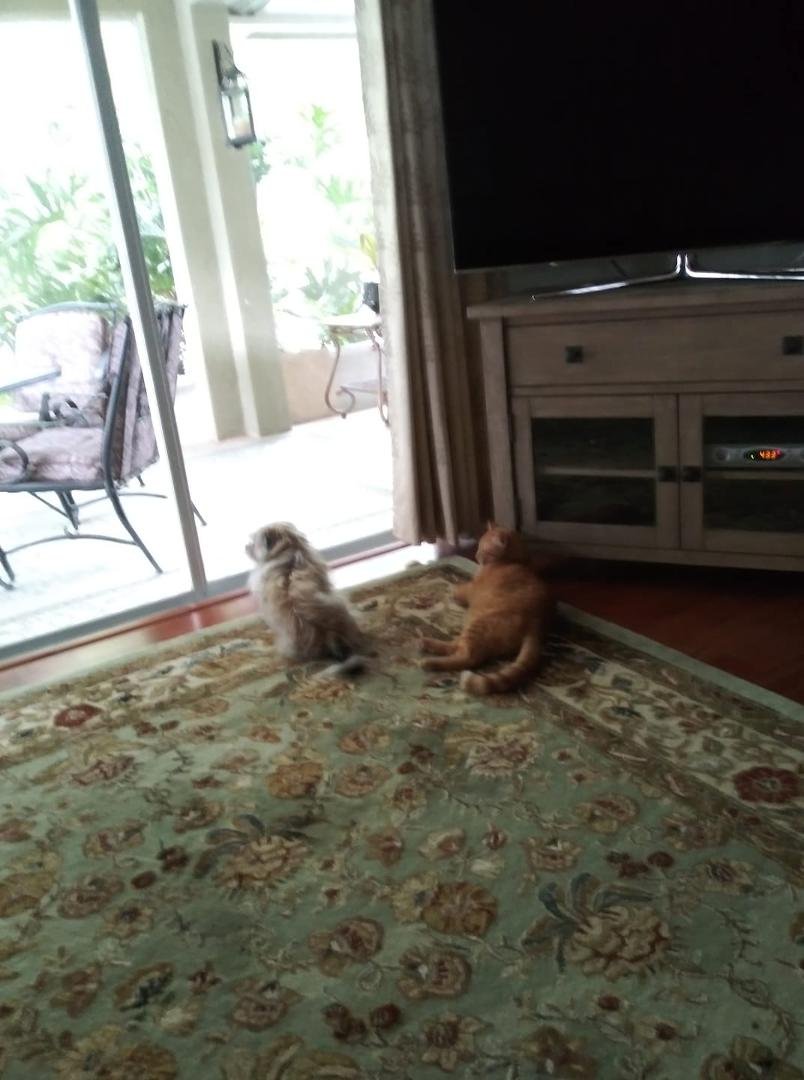 My two bffs