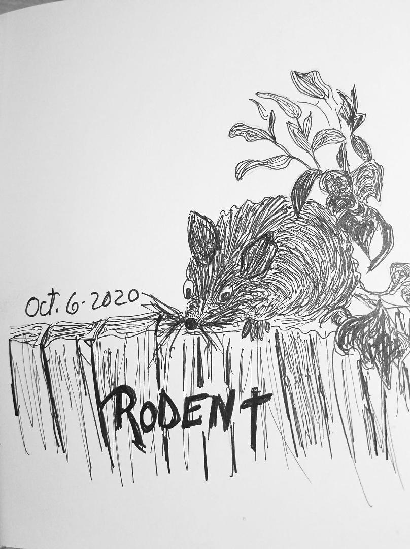 #inktobertucson2020Inktober