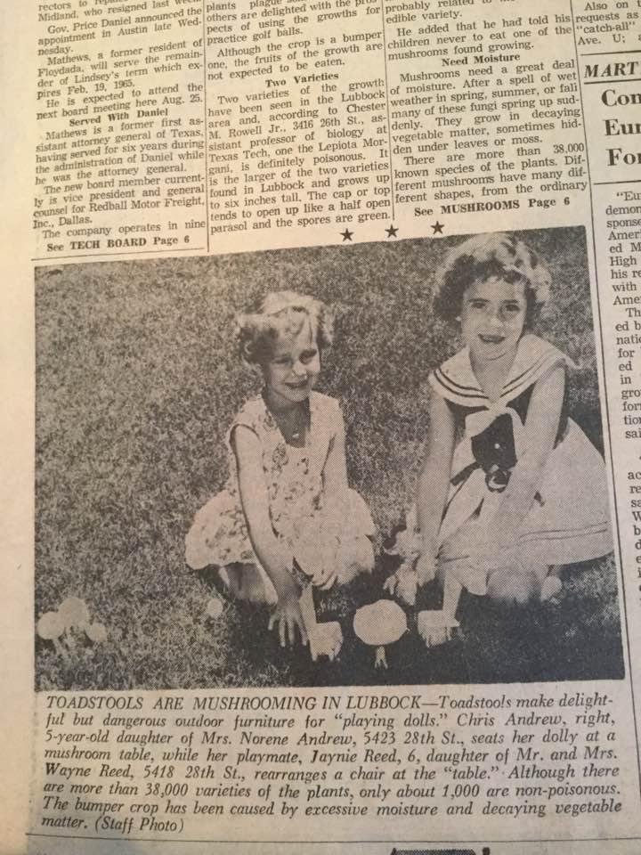 Going through old boxes I found this from August 2, 1962. What a great time we had playing make believe.