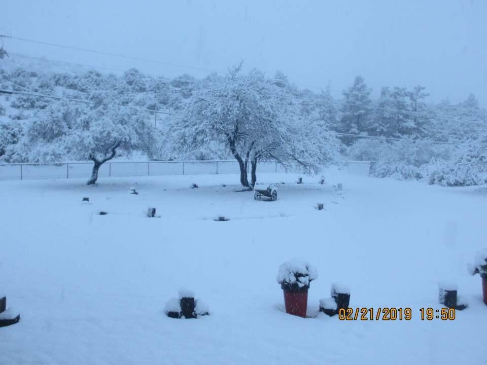 The front yard after the snowfall. It's all gone now. The camera has the wrong month on the pics.