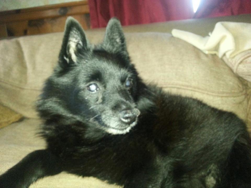Bob Hunter's album, Mobile Uploads