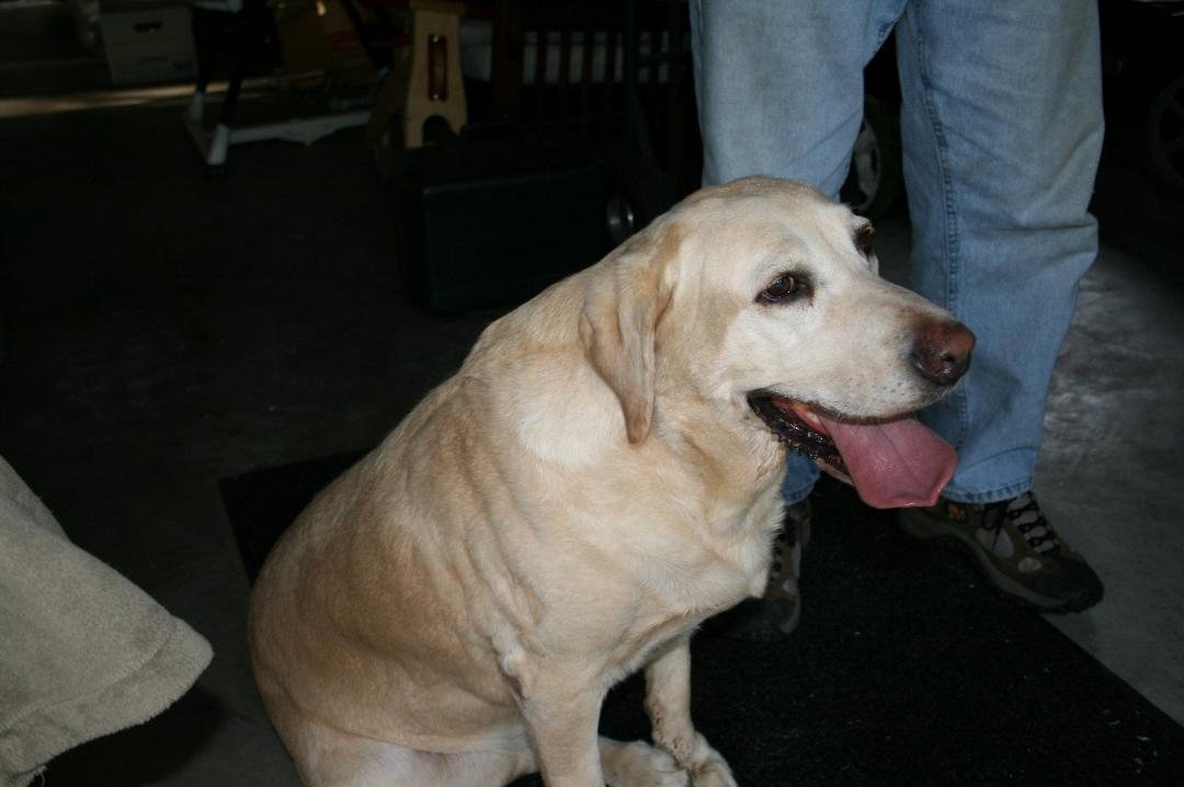 This is Lily, the newest member of the Weidner family.