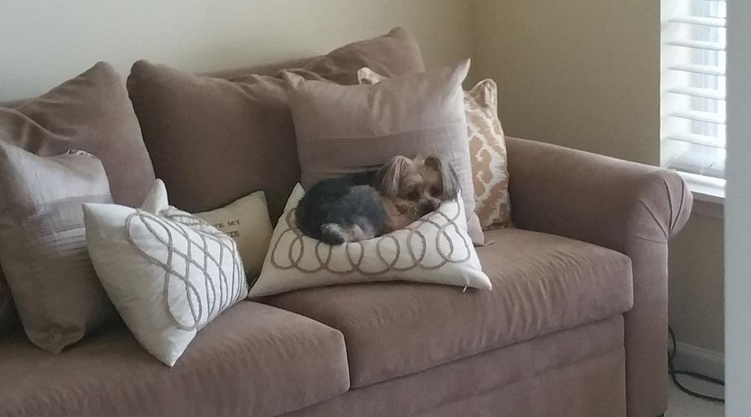 When your home gets taken over and you really don't care.
