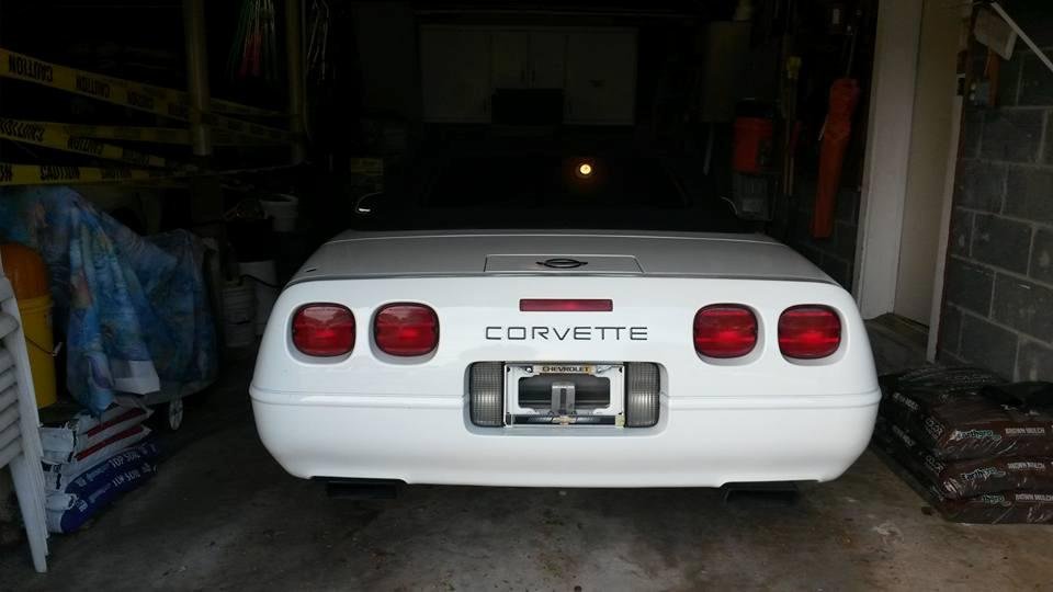 My New Man Toy