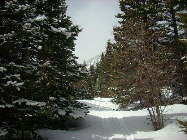 Kelley Brenneman's album, Hiking