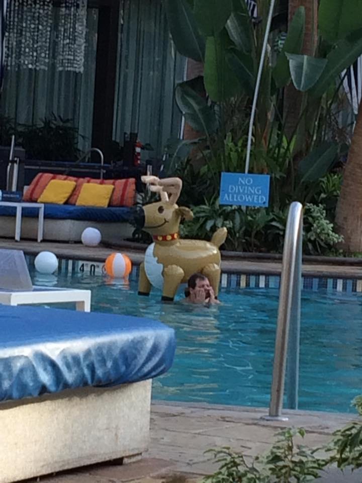 Rudolph in AC.