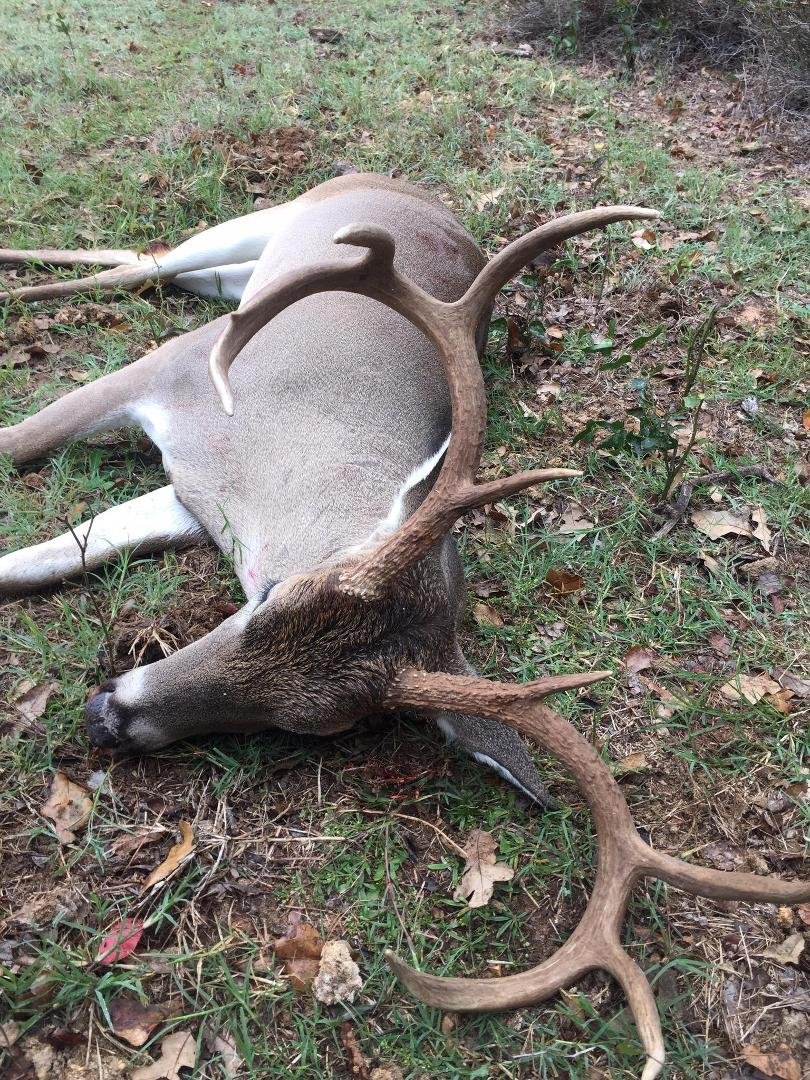 Got one