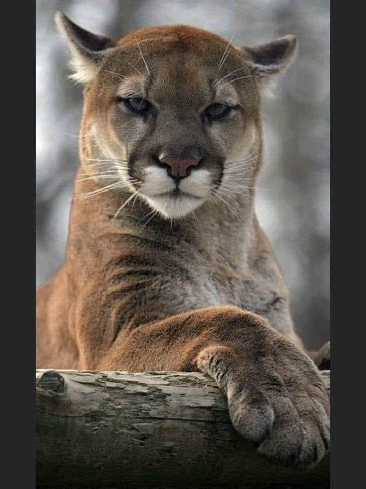 Tamra Allen's album, Timeline Photos