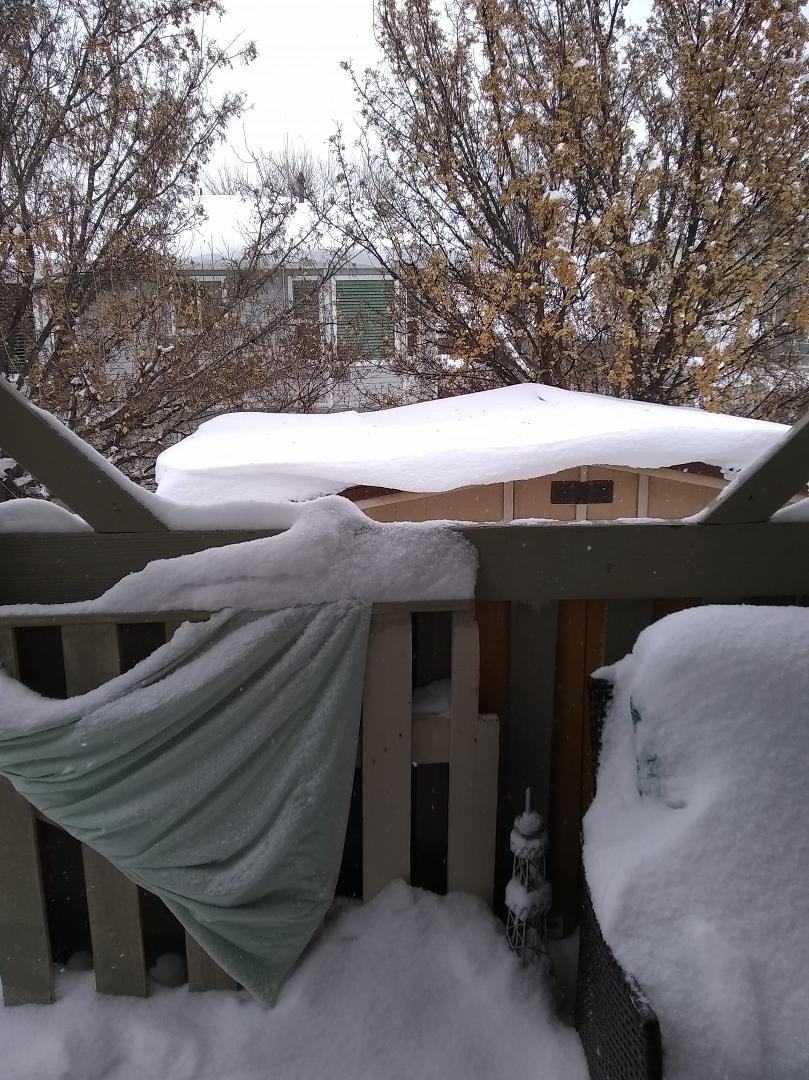 Went from 54 yesterday to 27 today. No snow to this! Closed the city.