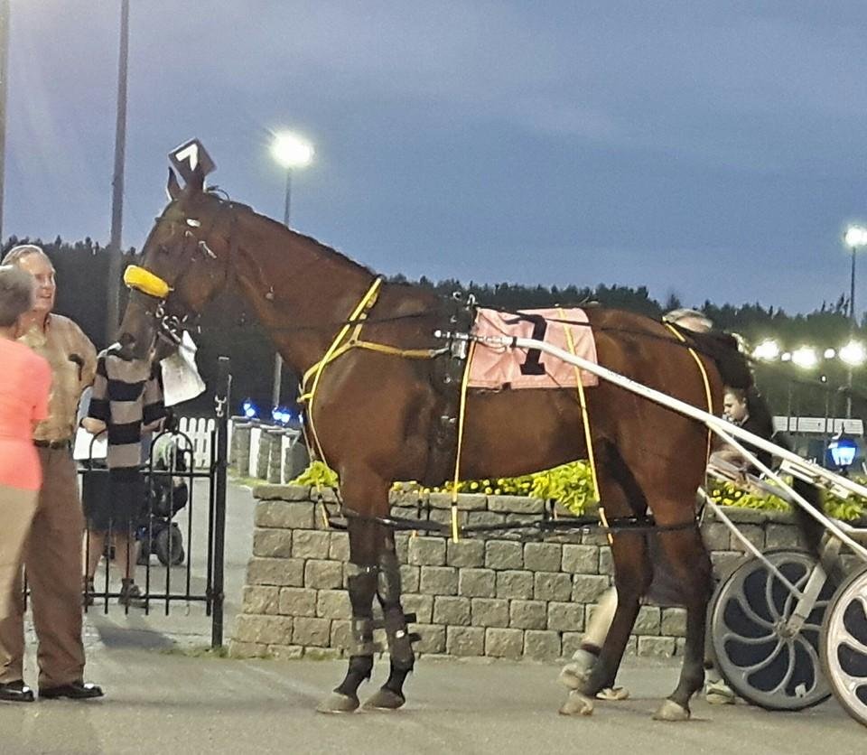 At the track first that I had chosen won first place. No betting but fun