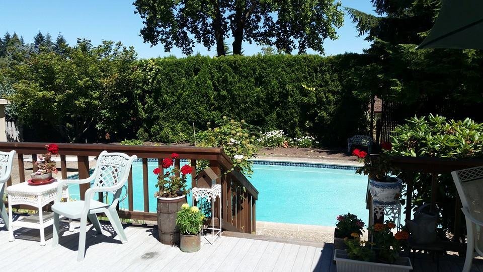 Our pool is READY! Come on over.