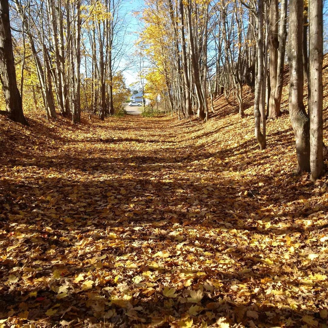 Canning Lions Hall at the beginning of the trail