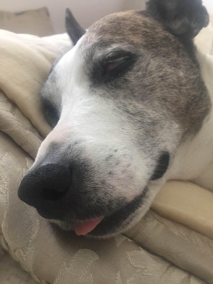 My Sleepy Valentine ❤️💋❤️