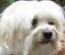 Head shot of Maggie Mae