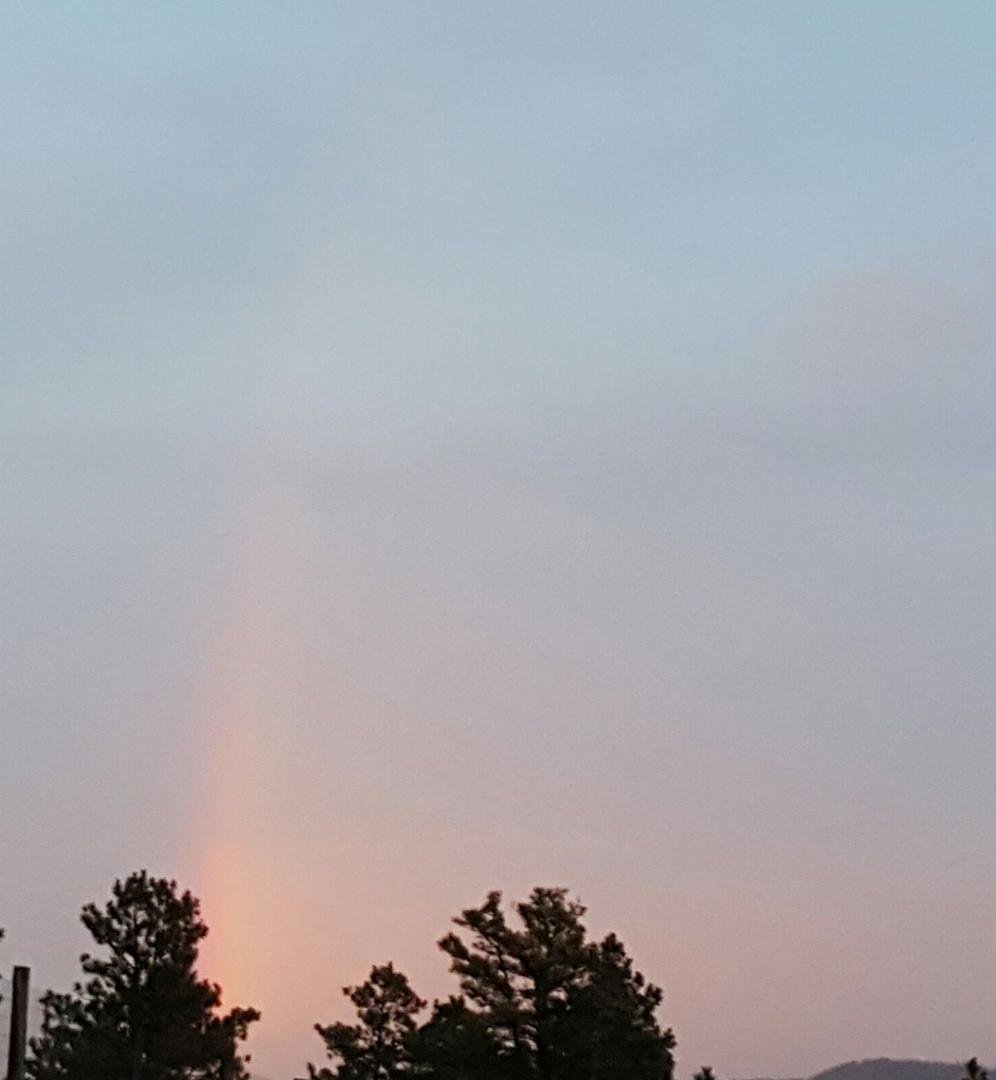 I caught a great rainbow last evening.
I was also trapped in the downpour.  Had to stay in the shed until it was clear enough to go in.
Today, it's hot and sunny!