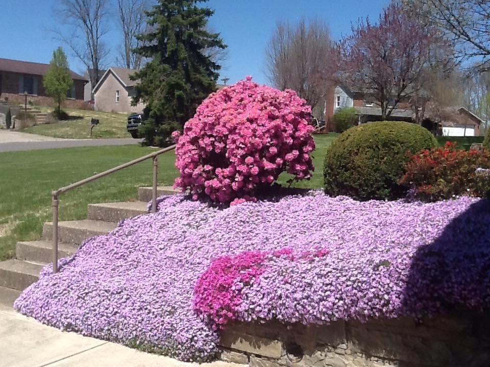 Finely spring has sprung in Kentucky!