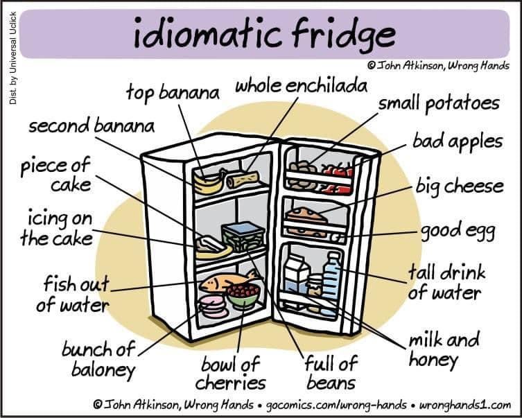 Idiomatic Fridge! 🥶