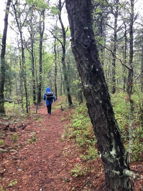 "Neither snow nor rain nor heat nor gloom of night stays this future puppy carrier from the swift completion of her appointed rounds."  Raining out — she's up to six pounds of weight in her puppy backpack. In about a week N