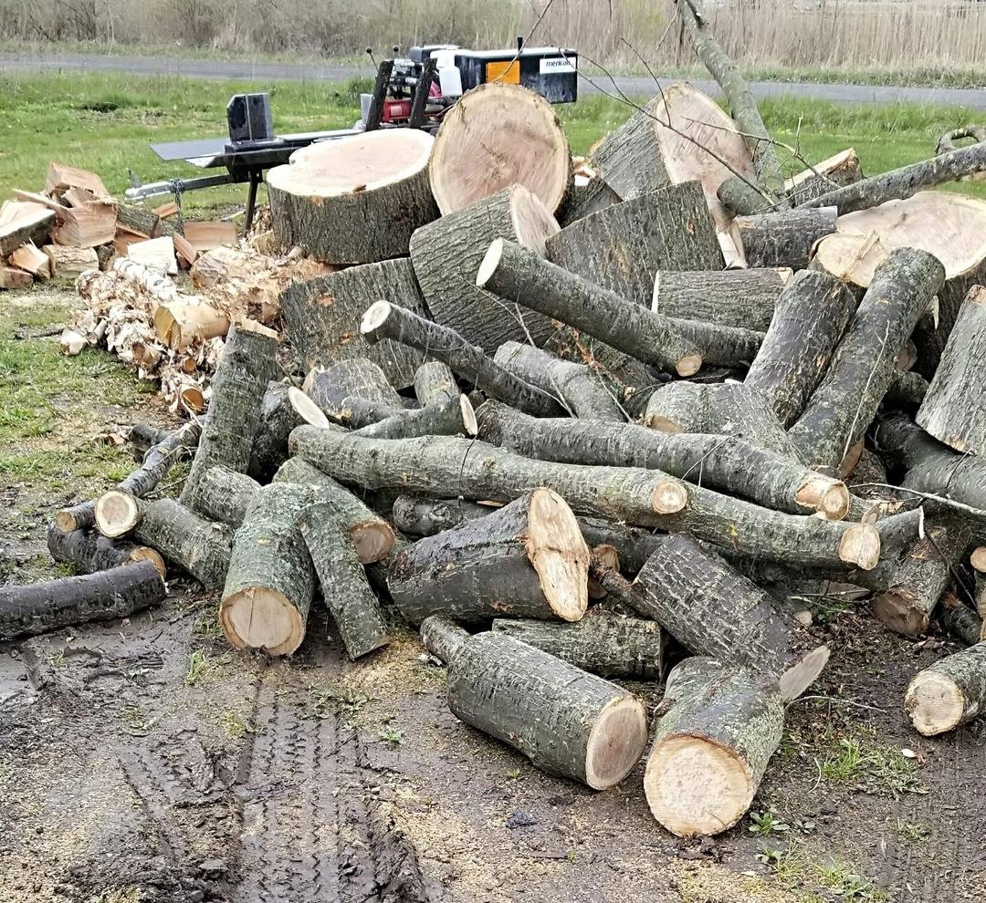My brother brought home a dump truck full of wood..getting ready for next winter!