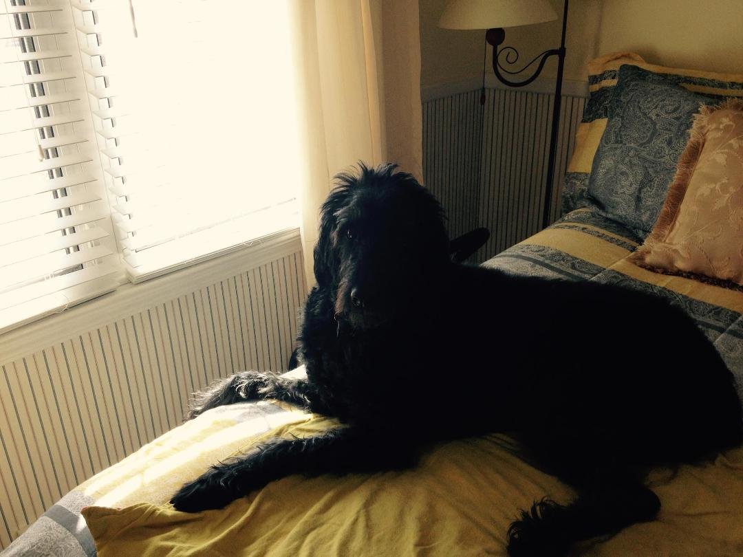 Zoe relaxing at home